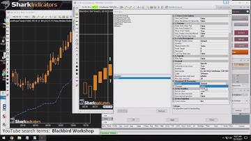 BlackBird Workshop - Issues Associated with Backtesting Renko Style Bars