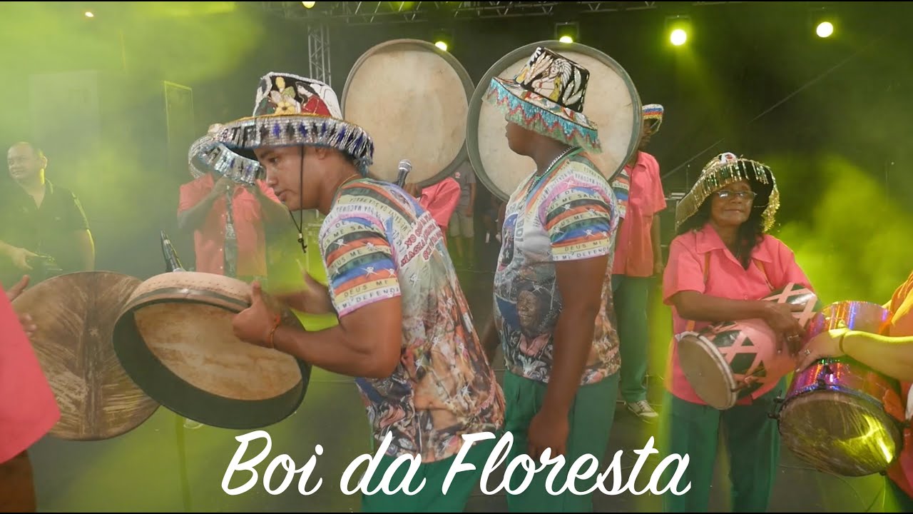 Bumba Meu Boi da Floresta, do Mestre Apolônio