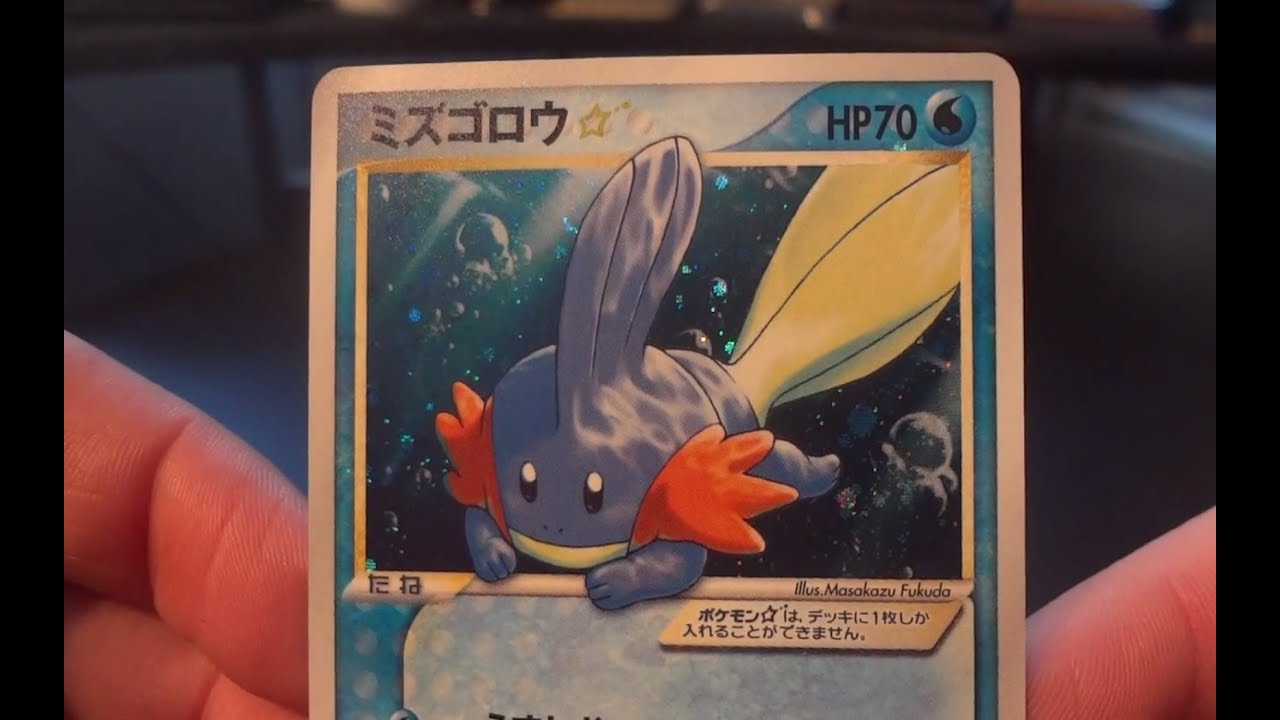 WRC's Japanese Gold Star Quest! 16 of 23 - Mudkip Gold Star! - YouTube