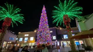 World’s Largest Christmas Tree