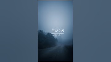 #قرآن 💙 #سورة_العنكبوت بصوت القارئ #ياسر_الدوسري