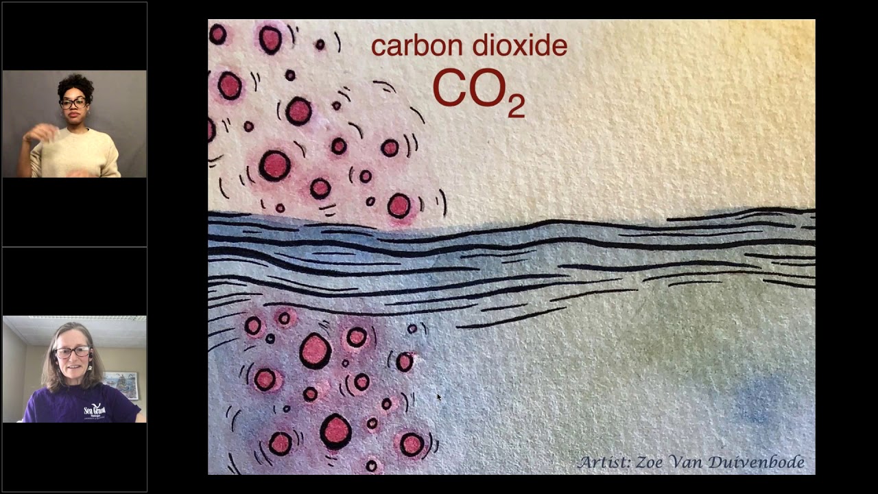 NOAA Live! Webinar 69 - It’s Not Easy Being Shelled: the Ocean Acidification Blues