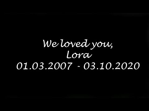 Видео: Memories of Lora