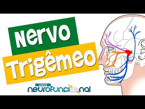 Vídeo: Anatomia, Função E Diagrama Do Nervo Trigêmeo - Mapas Do Corpo