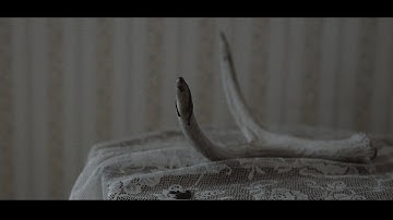 In Mourning - At the behest of night (official music video)
