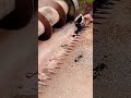 Lubricating the giant blades of heavy equipment #shorts