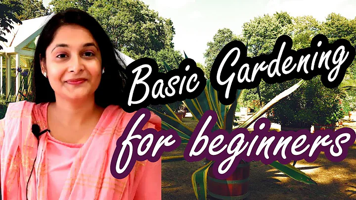 Gardening Basic Tips 1 How to start gardening Choose right plants for your house #plants #gardening - DayDayNews