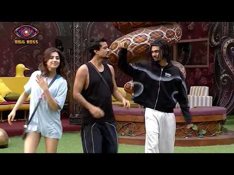 Bigg Boss 20 LIVE: Morning Song Par Love Arishfa Kanika Ne Kiya Dance, Mahhi Ne Dhoye Bartan
