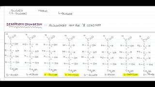 Isomerism in Carbohydrates| Terminology | Types of Isomerism | Examples