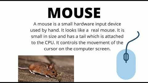 Mouse  subject -Computer  class -2  chapter -5