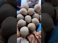 MADRASA K TALABA YAUM E GANJ MANATE HUWE