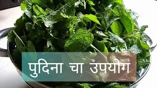 पुदिना चा उपयोग | पुदिना ज्यूस | Pudina Juice | Benefits of Pudina | Spearmint benefits | pudina