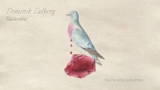 Video thumbnail of "Dominik Eulberg - Taubenblut (Traum V204)"