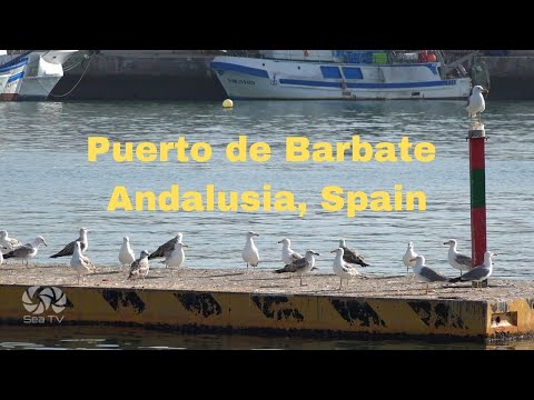 Sail Spain | Puerto de Barbate Andalusia | Sea TV sailing channel