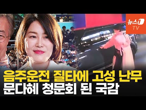 &amp;#39;<strong>문다혜</strong> 음주운전&amp;#39; 난타전 된 경찰청 국감…&amp;quot;비공개 소환 안돼&amp;quot;