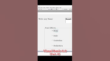Bold, Italic, Underline & Strikethrough Program in Visual Basic 6.0 Part-II #shorts #ytshorts
