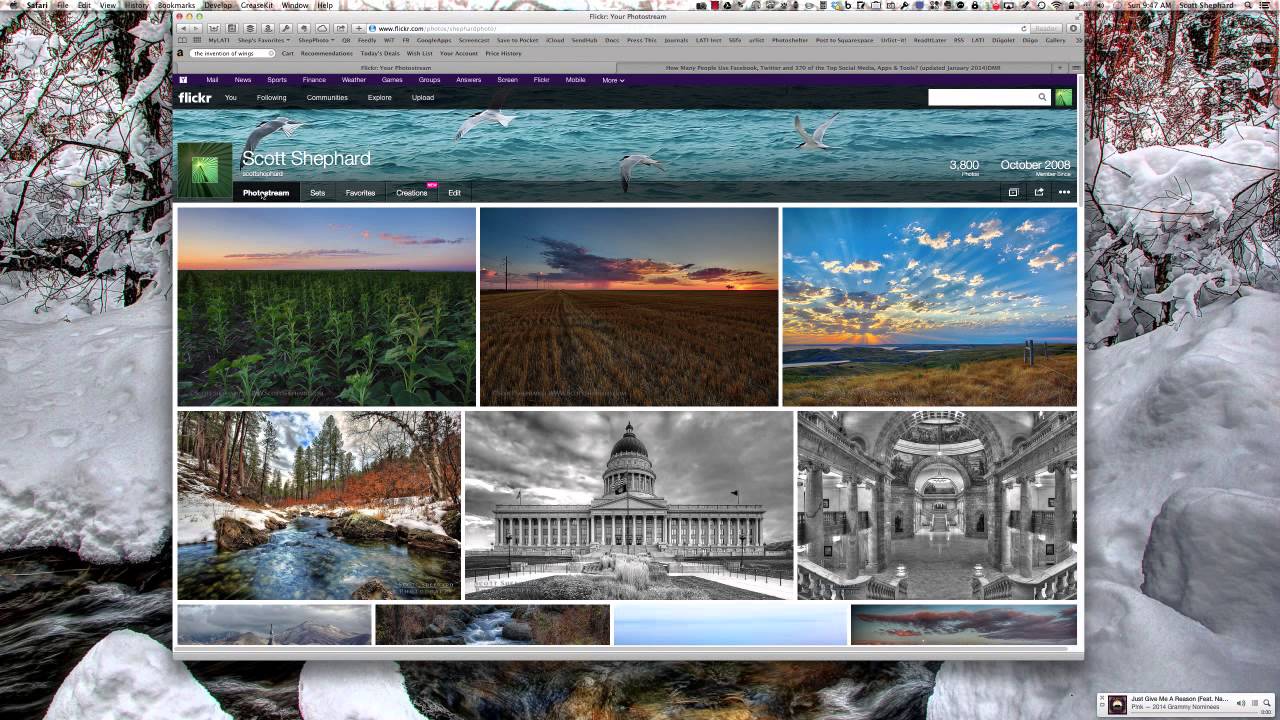 Changing Copyright and Protection Settings On Flickr