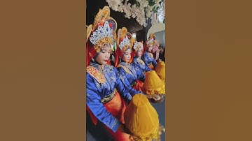 WEDDING ACEH #aceh #indonesia #malaysia #pengantin #video #videoshort #langsa #nikah #mc #india