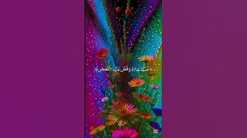 سورة القصص الآية 24 #قرآن #اكسبلور #المصحف #الرحمن