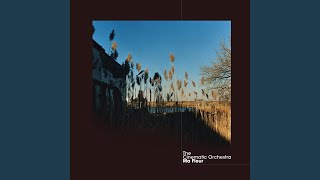 Video thumbnail of "The Cinematic Orchestra - Familiar Ground"