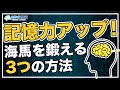 【記憶力アップ】脳の「海馬」を鍛える超簡単な3つの方法