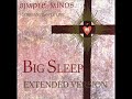 SIMPLE MINDS BIG SLEEP