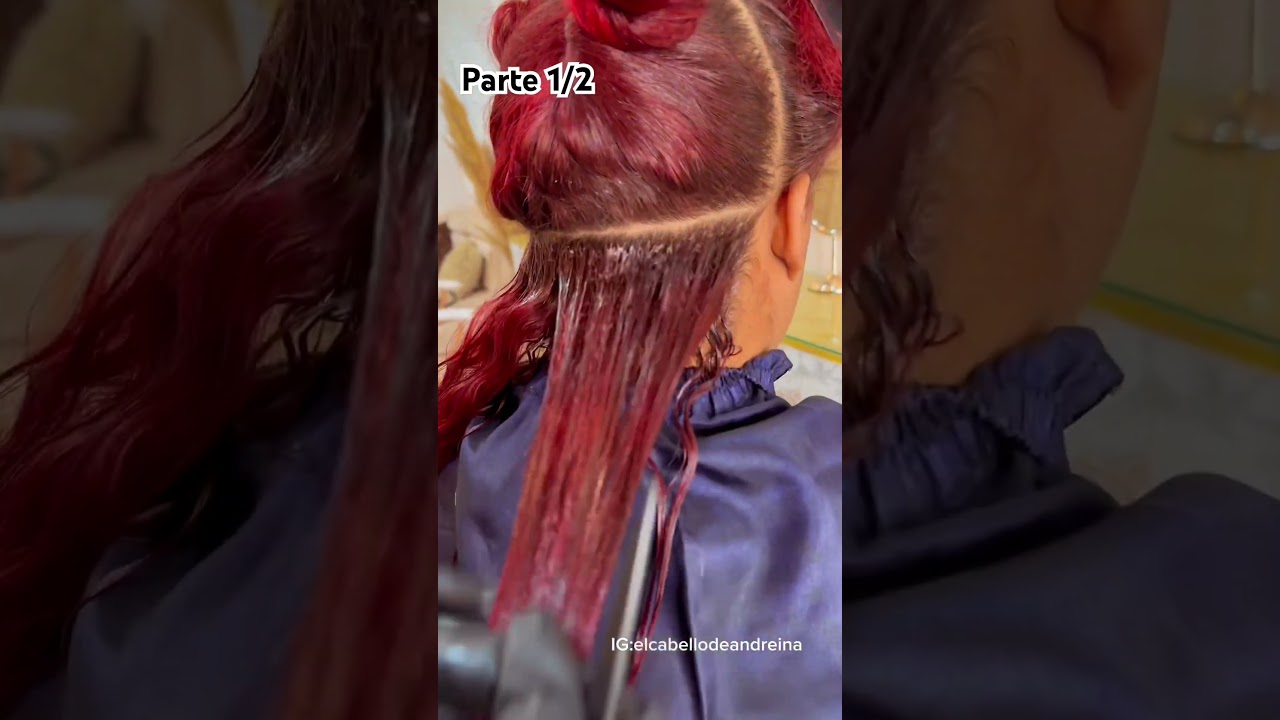 Keratina orgánica ANDREINA HAIR PARTE 1/2