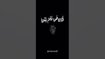 ما تيسر من سورة التحريم للقارئ محمد حمزة فلامرزي 🤍