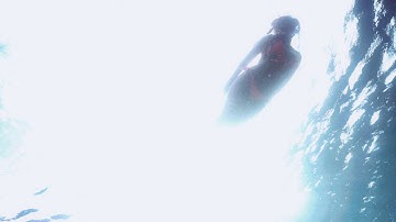 Saba - Your next Dive Group Destination!