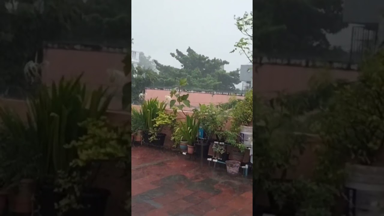 rim jhim rim jhim song #rain#enjoyrain#with piyaj pakoda and chatni 🌧️🌧️🌧️🌧️.