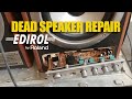 Dead speaker monitor Repair 100v AC 110v to 220v replacing TV-5 TV5 switch