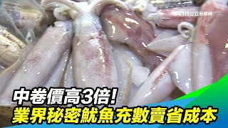 【海鮮比一比】魷魚、中卷(透抽)要怎麼分辨？價格差3倍 ... 