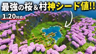 120対応マイクラ統合版リス地に村が２つもある神桜バイオームシード値を紹介Peps4Switchxboxwin10Ver120