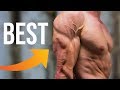 BODYWEIGHT TRICEPS | 5 BEST Exercises