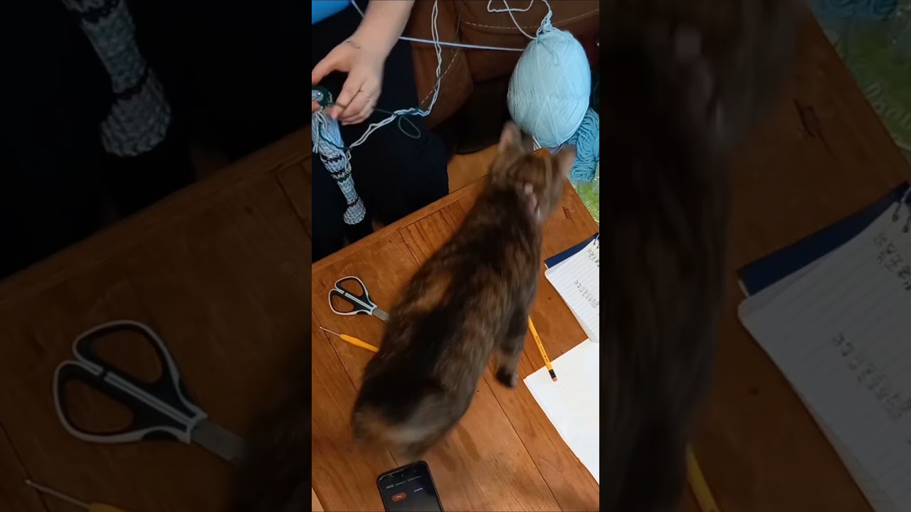 J'avance (enfin) mon serpent de lecture au crochet! 🐍📚 #objectif2025 #crochet