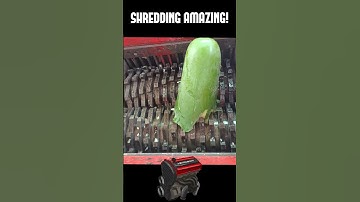 Enjoyable & Satisfying SHREDDING Moments!