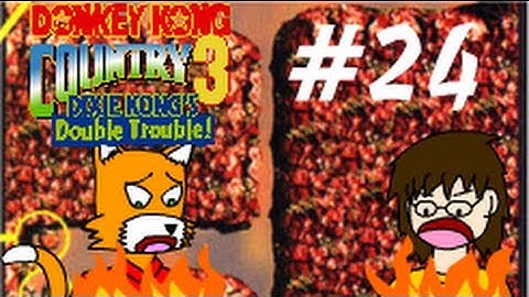 (LP) Donkey Kong Country 3: Dixie Kong
