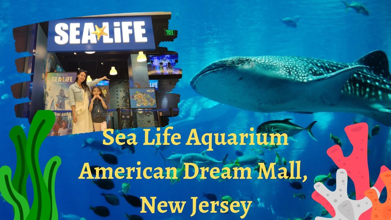 Shark Aquarium in New Jersey  SEA LIFE New Jersey Aquarium