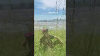 видео: «Песня о матери» «Ээж,ин дун» на русском языке в исполнении Мергена Мукабенова картинка: «Песня о матери» «Ээж,ин дун» на русском языке в исполнении Мергена Мукабенова