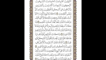 الوجه 205 من القرآن مكرر ١٠ مرات مع الآيات | سورة التوبة | الشيخ خليفة الطنيجي