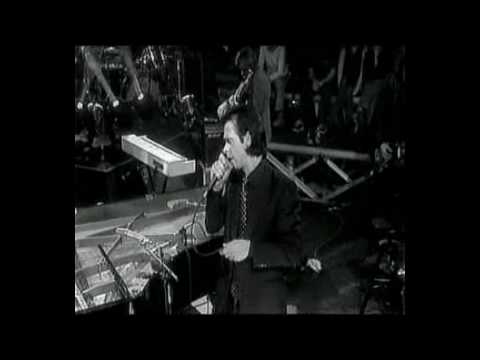 Nick Cave Hallelujah
