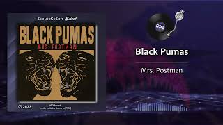 Black Pumas - Mrs  Postman |[ R&amp;B Soul ]| 2023