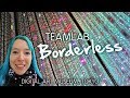 TeamLAB Borderless - Digital Art Museum, Tokyo