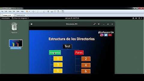 How to use linux command MKDIR | Como crear directorios y sub-directorios anidados en Linux,