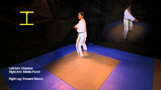 Basic Form 2 - Taekwondo