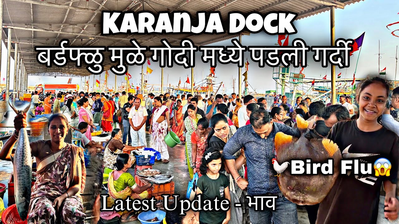 बर्डफ्ळु मुळे करंजा गोदी मध्ये मच्छी साठी पडली गर्दी-करंजा गोदीमध्ये झालेले बदल-Karanja Dock Update