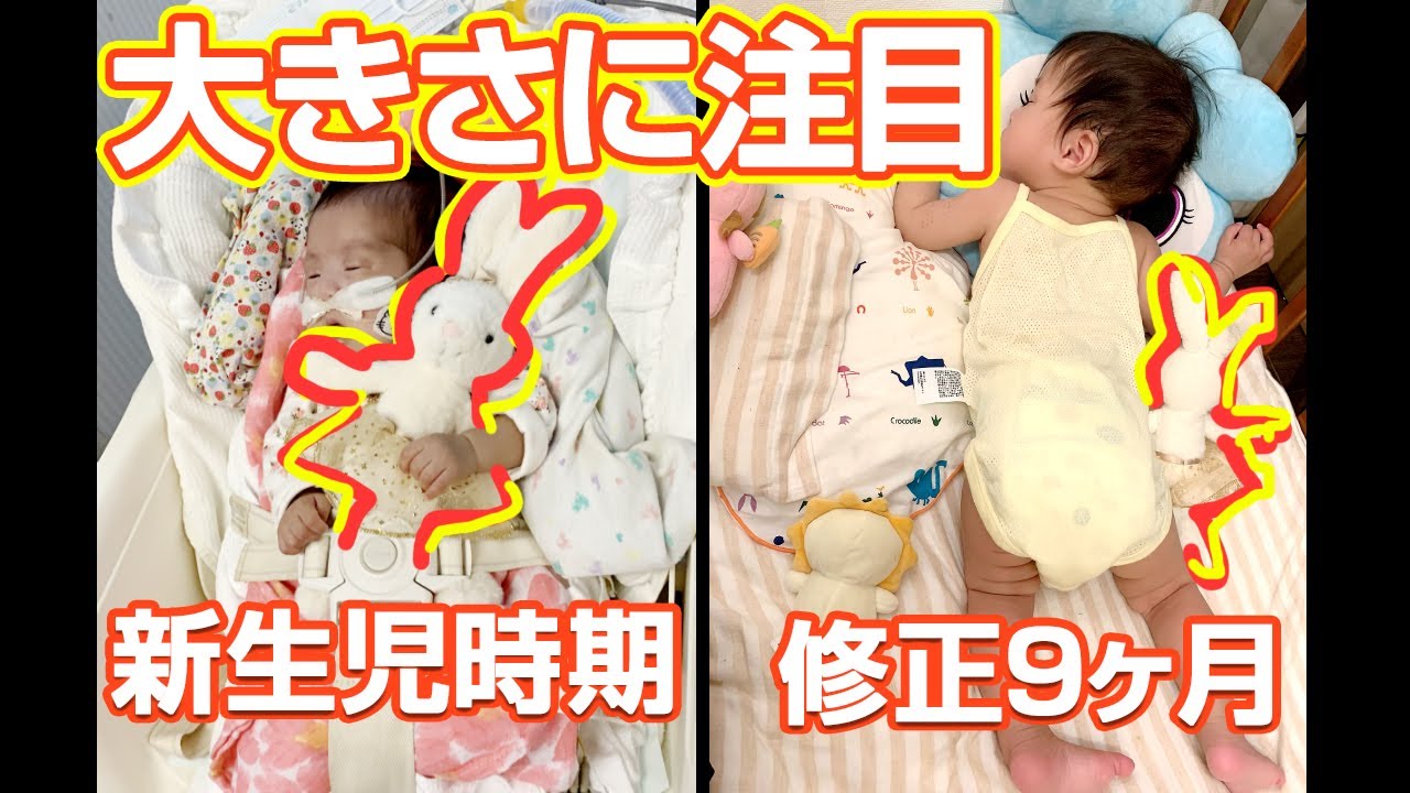 【新生児 赤ちゃん】初めてのお友達 現在の身体の大きさと比べるとすごかった！[早産 22週5日 NICU] YouTube