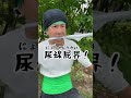 ゾロの理想と現実