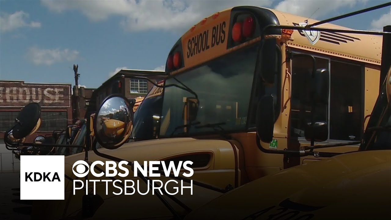 School bus reminders as students head back to the classrooms - YouTube