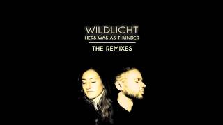 Wildlight - Save My Mind for Later (Dr. Toast Remix)